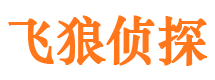 新源市调查公司